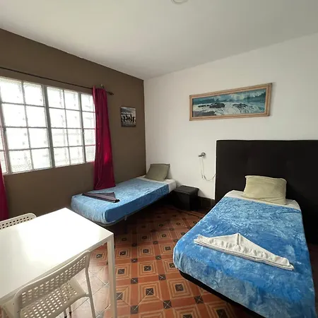 Eucalipto بيت شباب