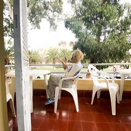 Eucalipto * Las Palmas de Gran Canaria