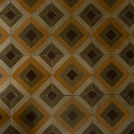 Eucalipto Las Palmas / Gran Canaria