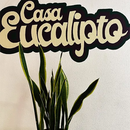 Eucalipto Hostel Hostal *