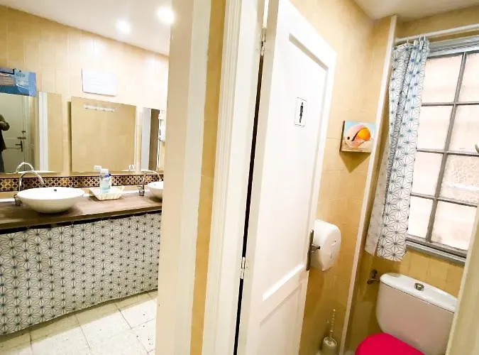 Eucalipto Las Palmas / Gran Canaria