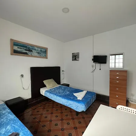 Eucalipto Лас-Пальмас-де-Гран-Канария