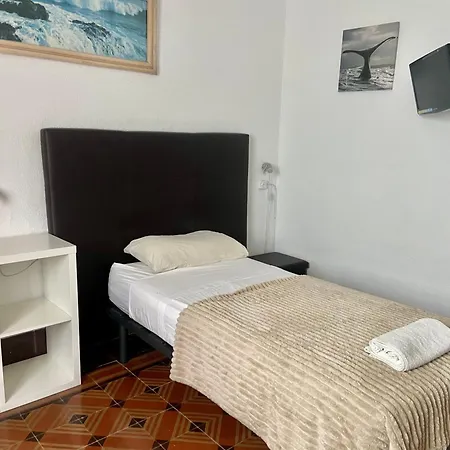 Eucalipto Ostello *