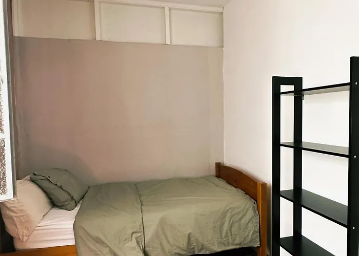 Eucalipto Las Palmas de Gran Canaria