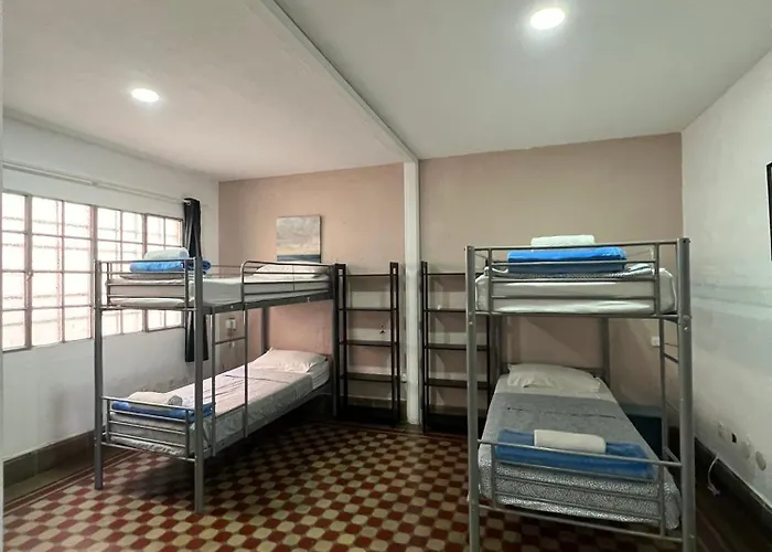 Eucalipto Hostel