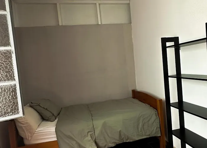 Eucalipto Hostel Las Palmas / Gran Canaria