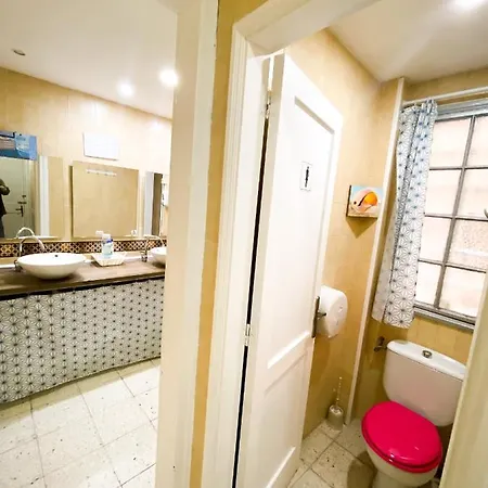 Eucalipto Las Palmas de Gran Canaria