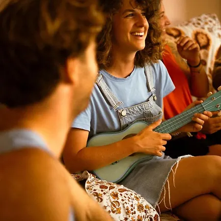 Eucalipto Las Palmas de Gran Canaria