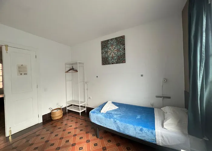 Eucalipto * Las Palmas de Gran Canaria