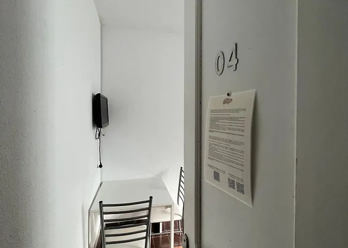 Eucalipto * Las Palmas de Gran Canaria