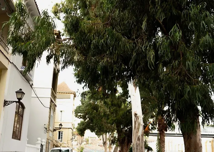 Eucalipto Auberge de jeunesse Las Palmas de Gran Canaria